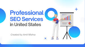 professional seo services agency