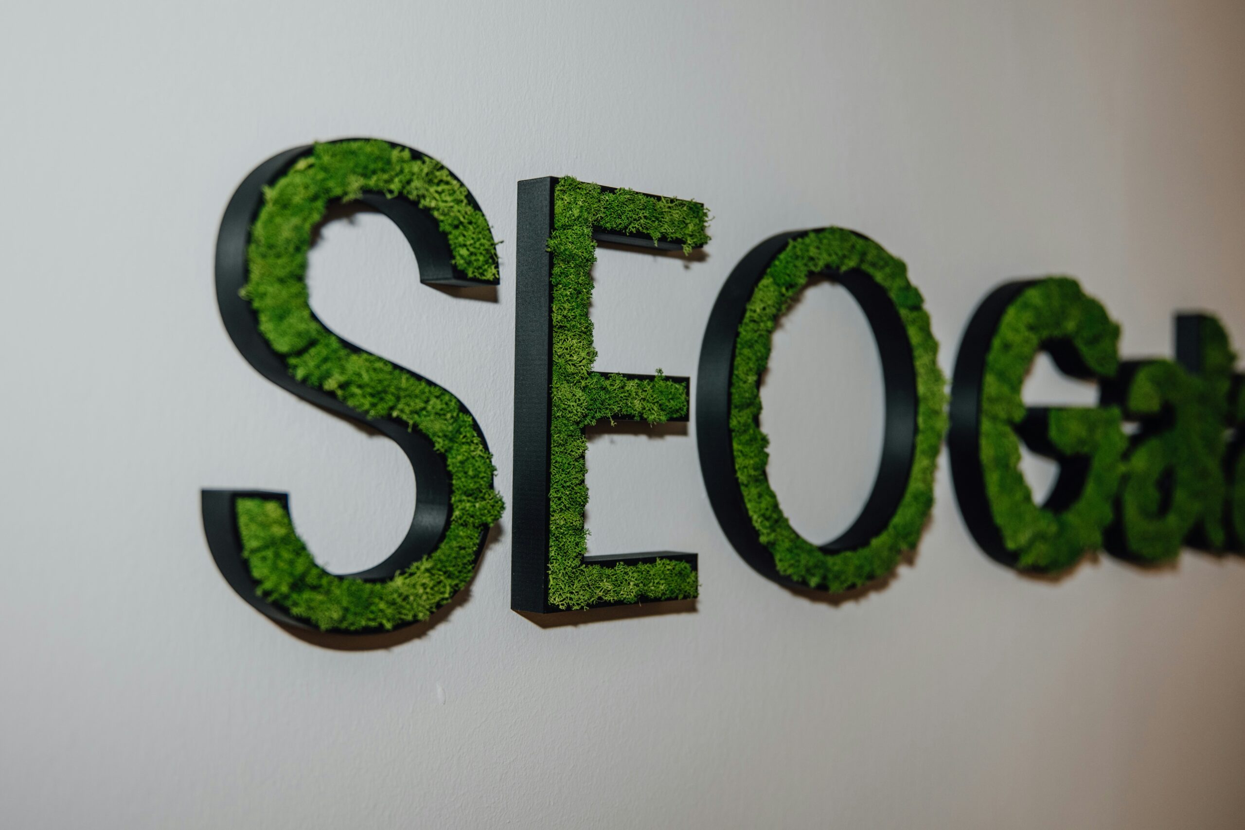 organic seo services