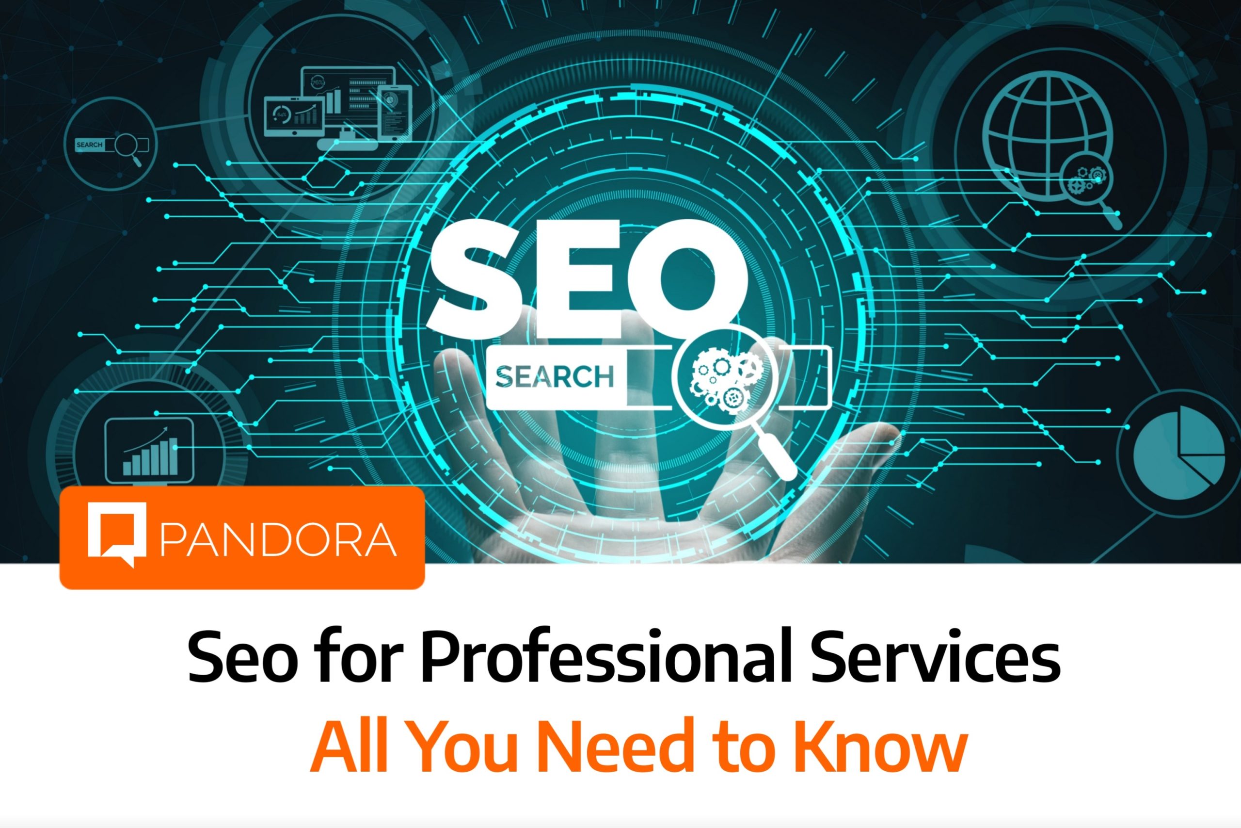 search engine optimization service provider